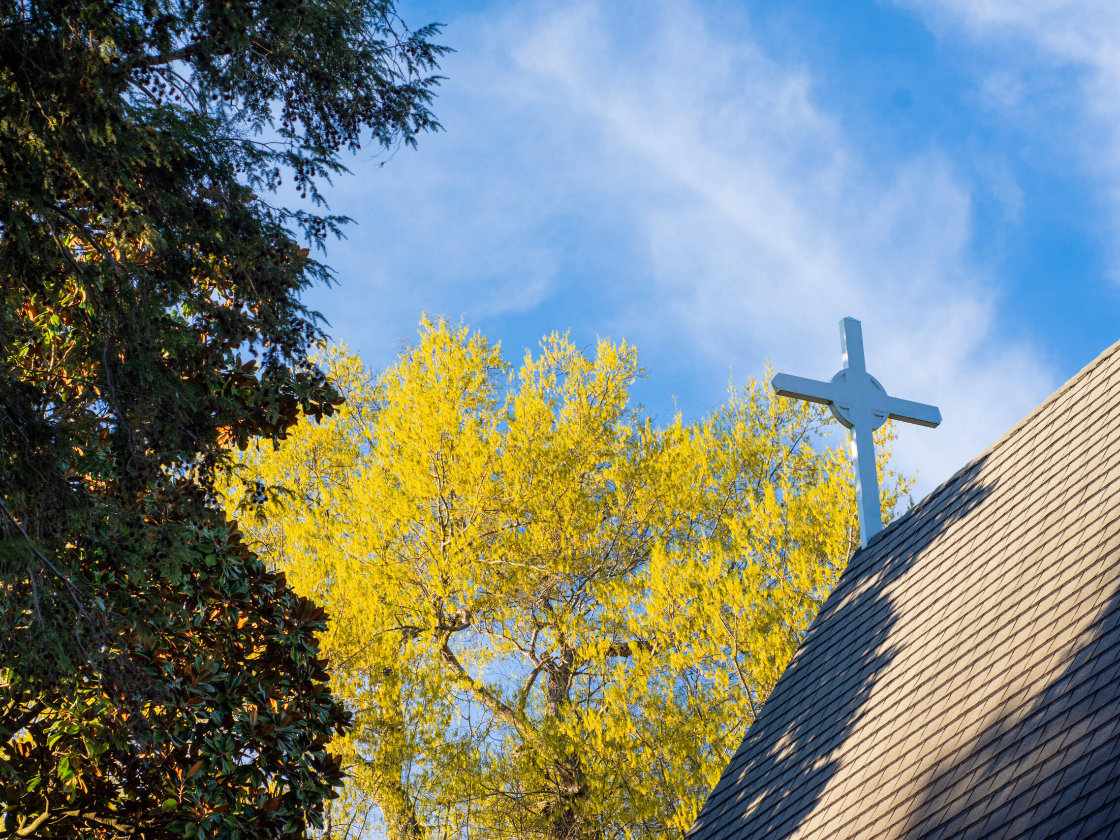 Stations of the Cross 2019 51